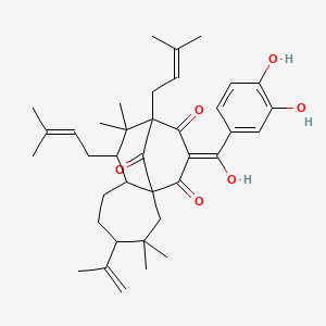 molecular formula C38H50O6 B1249358 guttiferone H 