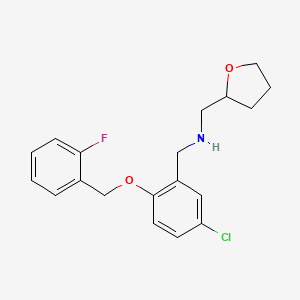 molecular formula C19H21ClFNO2 B12494611 1-{5-chloro-2-[(2-fluorobenzyl)oxy]phenyl}-N-(tetrahydrofuran-2-ylmethyl)methanamine 