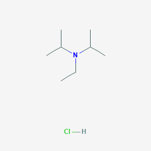 molecular formula C8H20ClN B1249486 Ethyldiisopropylamine hydrochloride 