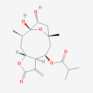 molecular formula C19H28O7 B1249534 2α-羟基酪醇酮 