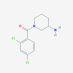 molecular formula C12H14Cl2N2O B12495355 (3-Aminopiperidin-1-yl)(2,4-dichlorophenyl)methanone 