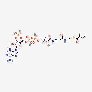 molecular formula C26H44N7O17P3S B1249571 2-甲基丁酰辅酶A 