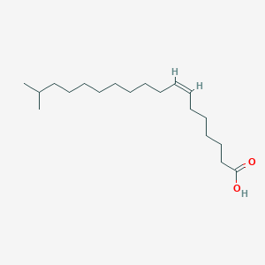 molecular formula C19H36O2 B1249631 17-methyl-7Z-octadecenoic acid 