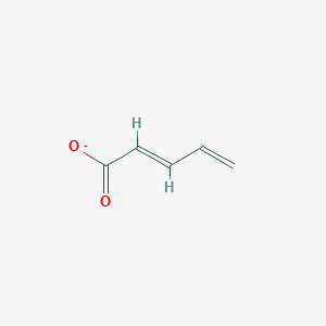 molecular formula C5H5O2- B1249696 Penta-2,4-dienoate 