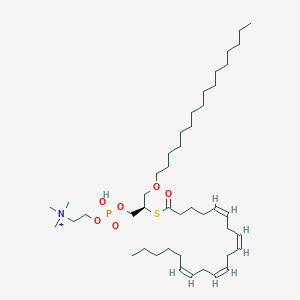 molecular formula C44H83NO6PS+ B1249703 (7R,13Z,16Z,19Z,22Z)-7-[(十六烷氧基)甲基]-4-羟基-N,N,N-三甲基-4,9-二氧代-3,5-二氧杂-8-噻-4λ(5)-磷酸八十八烷-13,16,19,22-四烯-1-铵 