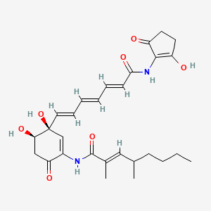 molecular formula C28H36N2O7 B1249812 (2E)-N-[(3S,4R)-3,4-dihydroxy-3-{(1E,3E,5E)-7-[(2-hydroxy-5-oxocyclopent-1-en-1-yl)amino]-7-oxohepta-1,3,5-trien-1-yl}-6-oxocyclohex-1-en-1-yl]-2,4-dimethyloct-2-enamide 