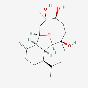 molecular formula C20H34O4 B1249858 硬叶菌素 A 