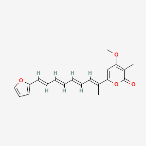molecular formula C20H20O4 B1249878 Gymnoconjugatin A 