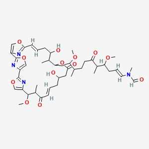 molecular formula C44H60N4O13 B1249913 Jaspisamide B 