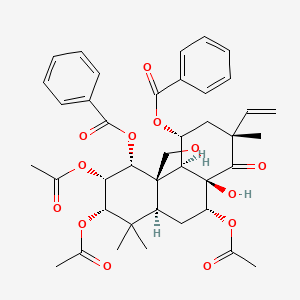 molecular formula C40H46O13 B1249938 虹吸酚 A 