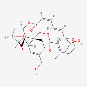 16-hydroxyroridin E