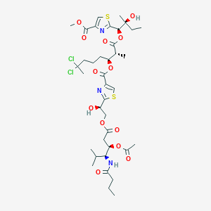 molecular formula C38H55Cl2N3O13S2 B1250030 Lyngbyabellin D 