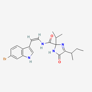 molecular formula C21H25BrN4O2 B1250123 Kottamide B 