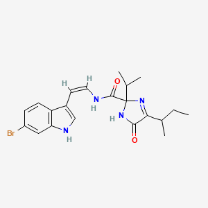 Kottamide B