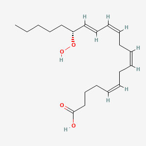 molecular formula C20H32O4 B1250241 (5Z,8Z,11Z,13E,15R)-15-hydroperoxyicosa-5,8,11,13-tetraenoic acid CAS No. 126873-50-5