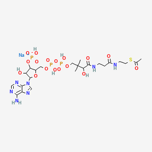 molecular formula C23H37N7NaO17P3S B12502560 Acetyl Coenzyme A (sodium salt) 