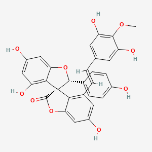 molecular formula C30H22O10 B1250328 (2'R,3R)-4',6,6'-Trihydroxy-2'-(4-hydroxyphenyl)-4-[(1E)-2-(3,5-dihydroxy-4-methoxyphenyl)ethenyl]-3,3'-spirobi[2,3-dihydrobenzofuran]-2-one 