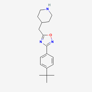 4-{[3-(4-Tert-butylphenyl)-1,2,4-oxadiazol-5-yl]methyl}piperidine