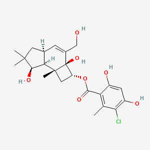 molecular formula C23H29ClO7 B1250435 Melleolide M 