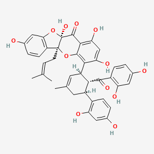 molecular formula C40H36O12 B1250523 Cathayanon B 