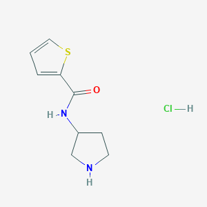 N-(pyrrolidin-3-yl)thiophene-2-carboxamide hydrochloride