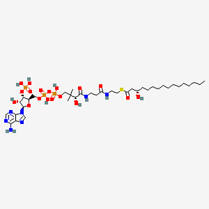 molecular formula C37H66N7O18P3S B1250581 (S)-3-羟基棕榈酰辅酶A 