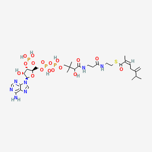 molecular formula C31H50N7O17P3S B1250653 S-[2-[3-[[4-[[[(2R,3S,4R,5R)-5-(6-aminopurin-9-yl)-4-hydroxy-3-phosphonooxyoxolan-2-yl]methoxy-hydroxyphosphoryl]oxy-hydroxyphosphoryl]oxy-2-hydroxy-3,3-dimethylbutanoyl]amino]propanoylamino]ethyl] (Z)-2,6-dimethyl-5-methylidenehept-2-enethioate 