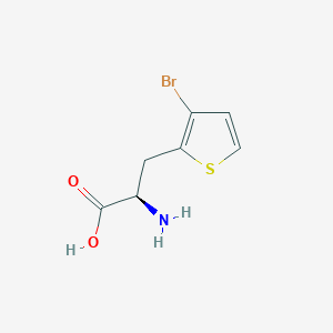 molecular formula C7H8BrNO2S B12507156 (2R)-2-amino-3-(3-bromothiophen-2-yl)propanoic acid 