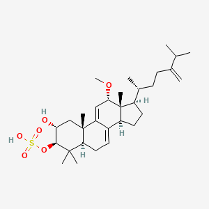 molecular formula C31H50O6S B1250735 [(2R,3R,5R,10S,12S,13R,14S,17R)-2-hydroxy-12-methoxy-4,4,10,13-tetramethyl-17-[(2R)-6-methyl-5-methylideneheptan-2-yl]-1,2,3,5,6,12,14,15,16,17-decahydrocyclopenta[a]phenanthren-3-yl] hydrogen sulfate 