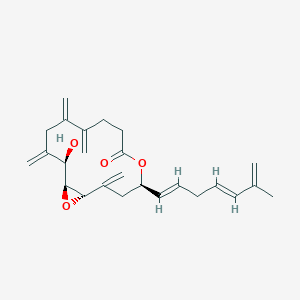 molecular formula C25H32O4 B1250819 两头虫内酯 V 