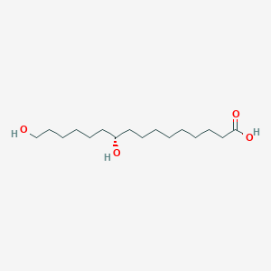 molecular formula C16H32O4 B1250877 (S)-10,16-二羟基十六烷酸 