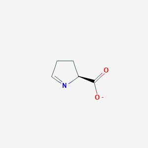 molecular formula C5H6NO2- B1250907 (2S)-3,4-dihydro-2H-pyrrole-2-carboxylate 