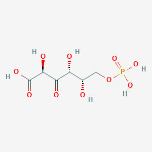 molecular formula C6H11O10P B1250973 3-dehydro-L-gulonic acid 6-phosphate 