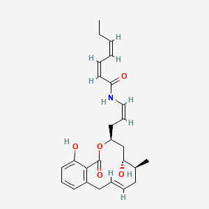 molecular formula C26H33NO5 B1251227 Salicylihalamide B 