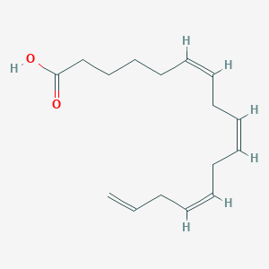 molecular formula C16H24O2 B1251256 (6Z,9Z,12Z)-6,9,12,15-Hexadecatetraenoic acid CAS No. 86995-95-1