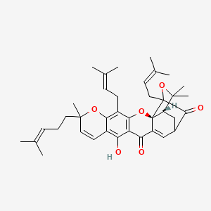 molecular formula C38H46O6 B1251361 Gambogin 