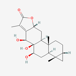 molecular formula C20H28O5 B1251507 Suregadolide C 