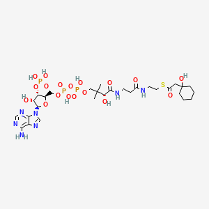 molecular formula C29H48N7O18P3S B1251529 (1-hydroxycyclohexyl)acetyl-CoA 