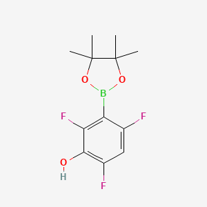 2,4,6-Trifluoro-3-(4,4,5,5-tetramethyl-1,3,2-dioxaborolan-2-yl)phenol