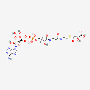 molecular formula C25H40N7O20P3S B1251649 (3S)-3-Carboxy-3-hydroxypropanoyl-CoA 
