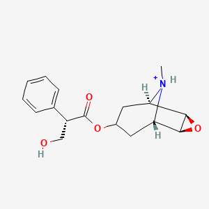 Scopolamine(1+)