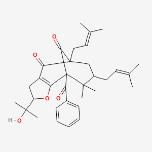 molecular formula C33H42O5 B1251817 Ochrocarpinone B 