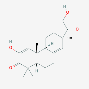 lonchophylloid A