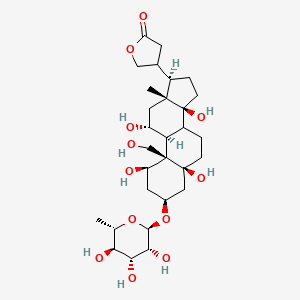 molecular formula C29H46O12 B1251975 4-[(1R,3S,5S,9S,10R,11R,13R,14S,17R)-1,5,11,14-tetrahydroxy-10-(hydroxymethyl)-13-methyl-3-[(2R,3R,4R,5R,6S)-3,4,5-trihydroxy-6-methyloxan-2-yl]oxy-2,3,4,6,7,8,9,11,12,15,16,17-dodecahydro-1H-cyclopenta[a]phenanthren-17-yl]oxolan-2-one 