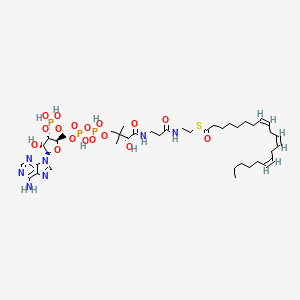 8Z,11Z,14Z-eicosatrienoyl-CoA