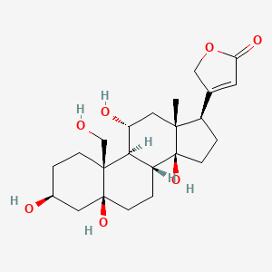 Sarmentologenin