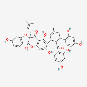 molecular formula C40H36O12 B1252085 桑根酮 C 