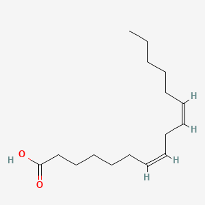 molecular formula C16H28O2 B1252424 7Z,10Z-十六二烯酸 CAS No. 28290-73-5