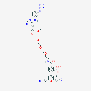 molecular formula C48H49N9O9 B1252515 5-[2-[2-[2-[2-[4-(3-Azidoanilino)-6-methoxyquinazolin-7-yl]oxyethoxy]ethoxy]ethoxy]ethylcarbamoyl]-2-[3-(dimethylamino)-6-dimethylazaniumylidenexanthen-9-yl]benzoate 