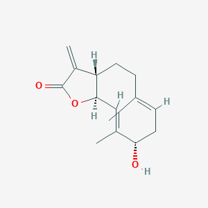 Hanphyllin